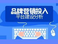 品牌营销投入，品牌建设，契合平台的重点分析